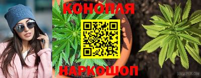 эйфоретик Будённовск