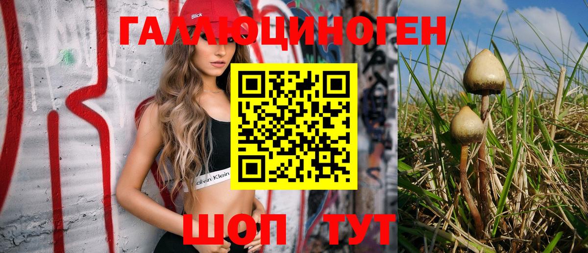 Галлюциногенные грибы Magic Shrooms  Вход с VPN  Красный Сулин 
