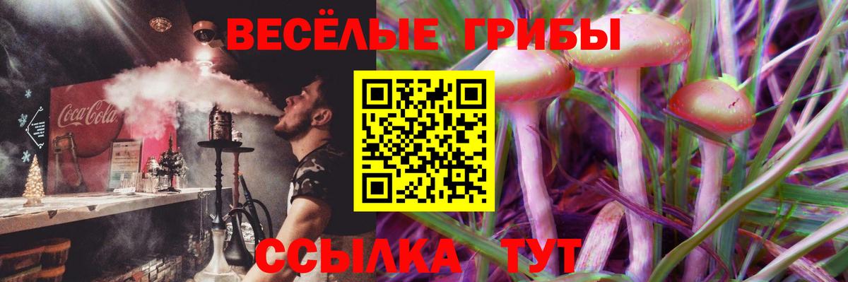 Галлюциногенные грибы Psilocybe Красный Сулин